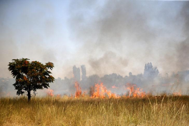Kayseri'de otluk alanda çıkan yangın söndürüldü G3