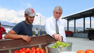 Geyve Safibey Ürün Toplama Merkezi üreticiyle tüketiciyi buluşturuyor