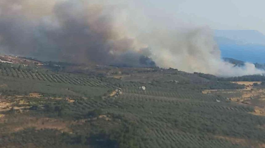 Son dakika: İzmir'de korkutan yangın! Tarım arazisinde alevlere teslim oldu