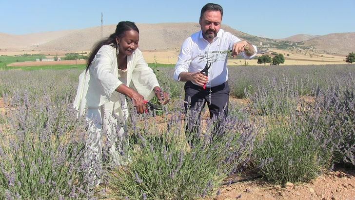 ABD'li şarkıcı Della Miles, Kahramanmaraş'ta lavanta hasat etti G2