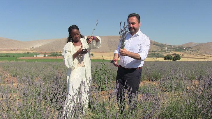 ABD'li şarkıcı Della Miles, Kahramanmaraş'ta lavanta hasat etti G3