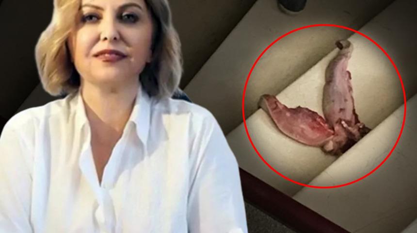 Dana diliyle doktora tehdit!  Prof. Dr. Şenol'un ofisine gelip fotoğraf paylaştı: Av başladı