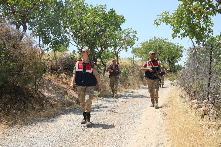 Siirt'te jandarma fıstık hırsızlarına karşı devriye geziyor G1