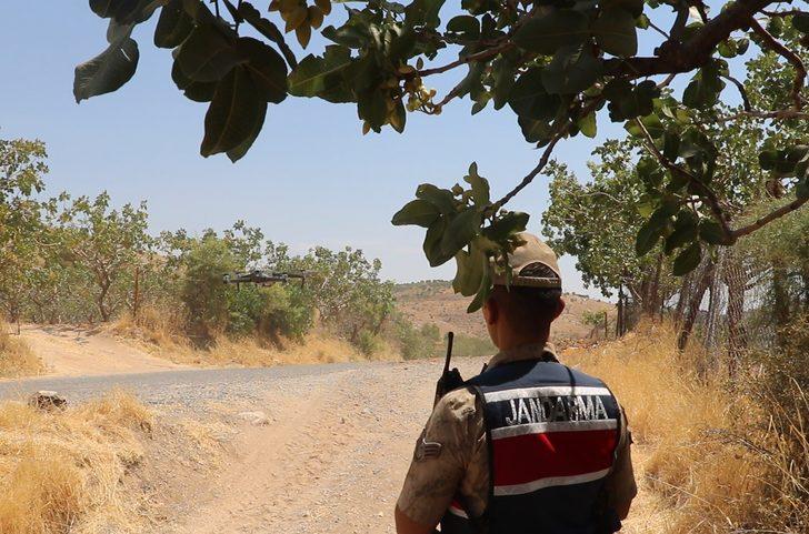 Siirt'te jandarma fıstık hırsızlarına karşı devriye geziyor G4