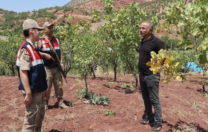 Siirt'te jandarma fıstık hırsızlarına karşı devriye geziyor G5
