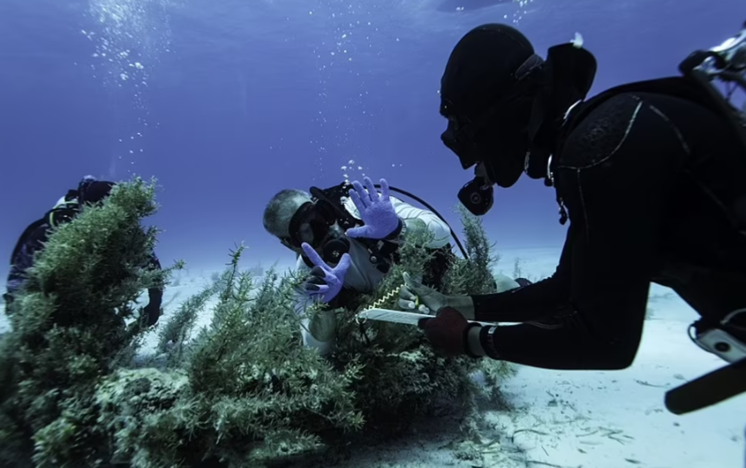 Tam 350 yıldır &ouml;ylece duruyordu! Kapağını kaldırınca hazine &ccedil;ıktı, g&ouml;renler inanamadı