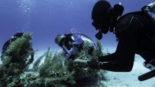 Tam 350 yıldır öylece duruyordu! Kapağını kaldırınca hazine çıktı, görenler inanamadı