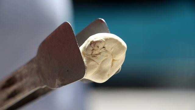 Fiyatı altınla yarışıyor! 'Daha da yükselecek'