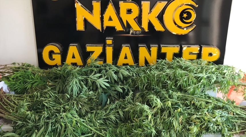 Gaziantep'te uyuşturucu operasyonunda 15 şüpheli yakalandı