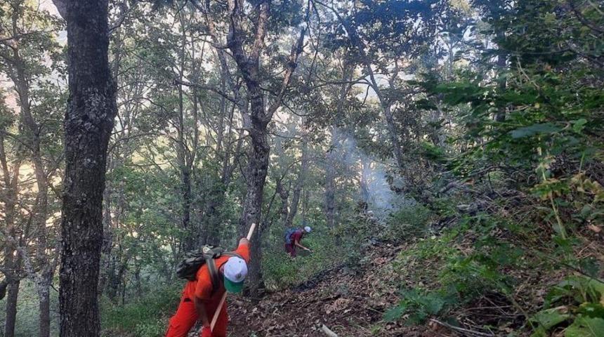 Tunceli'de çıkan örtü yangını kontrol altına alındı