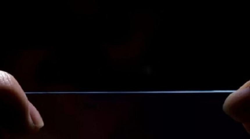 Örümcekler fiber ağ ördü!