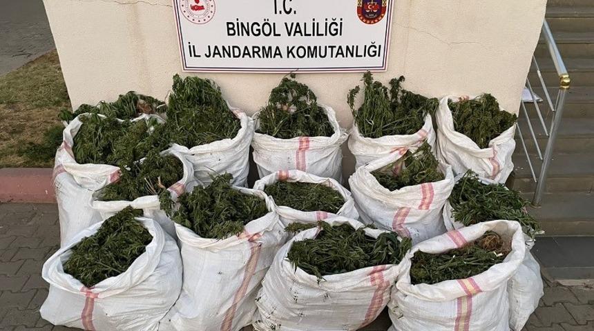 Bingöl'de 296 bin kök kenevir ve skunk ile 152 kilogram esrar ele geçirildi