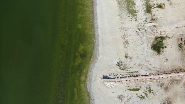 Burdur Gölü'nde alg patlaması endişeye neden oldu