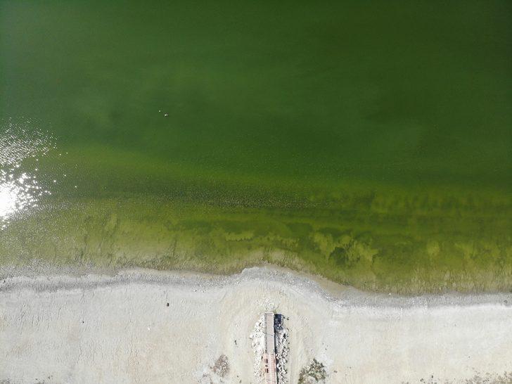 Burdur Gölü'nde alg patlaması endişeye neden oldu G2