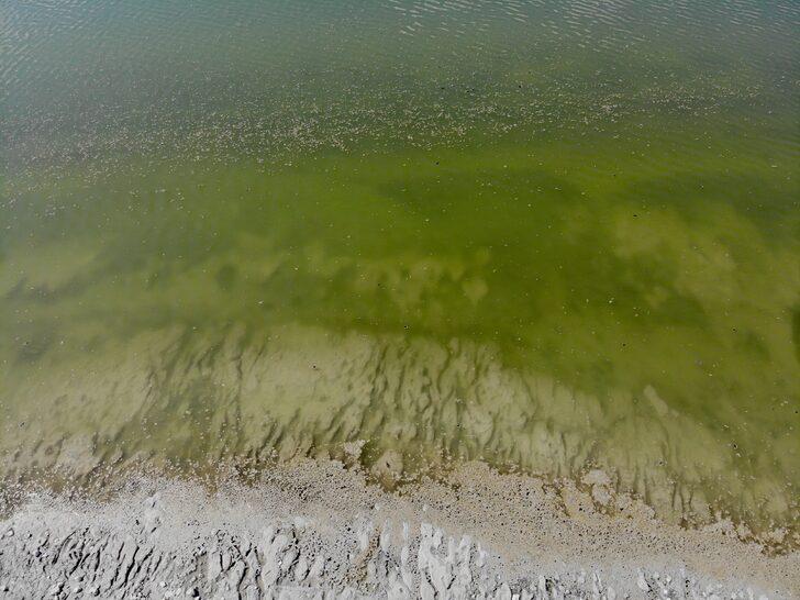 Burdur Gölü'nde alg patlaması endişeye neden oldu G3