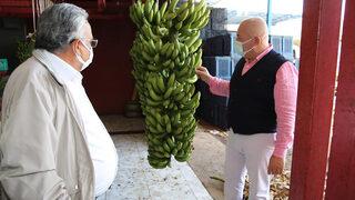 Alanya muzu coğrafi işaretle tescillendi