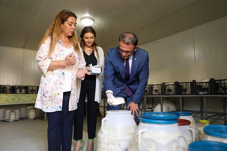 Van Valisi Ozan Balcı, otlu peynir mayaladı G1