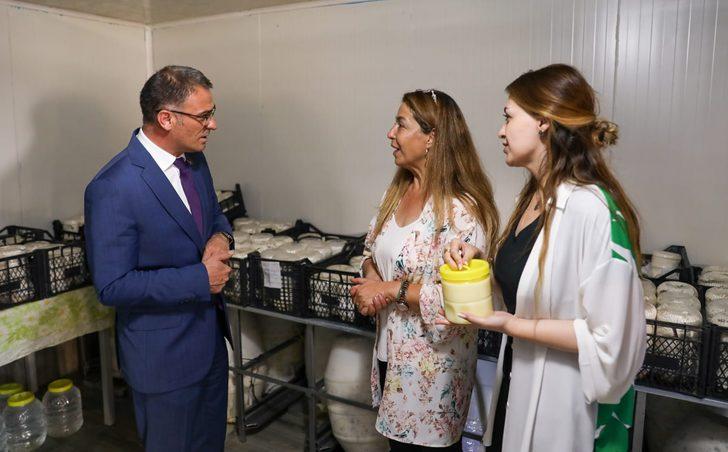 Van Valisi Ozan Balcı, otlu peynir mayaladı G2