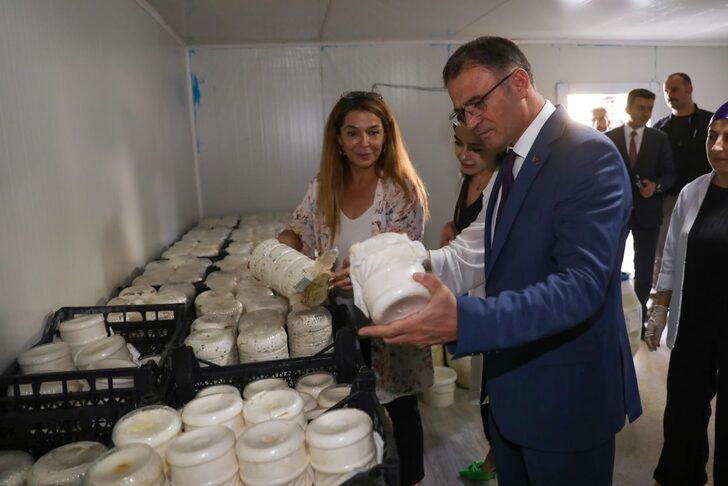 Van Valisi Ozan Balcı, otlu peynir mayaladı G4