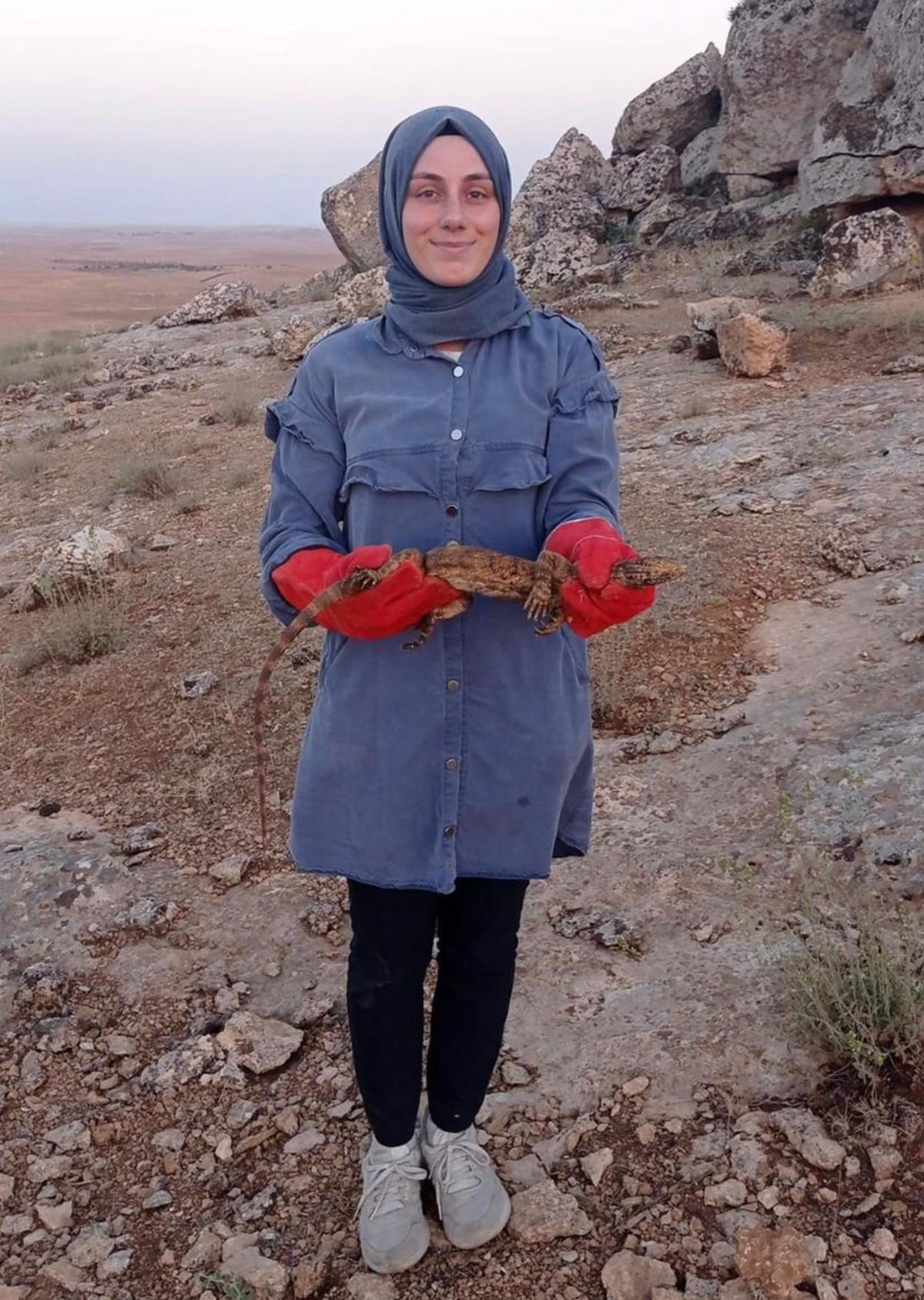 Şanlıurfa'da sarnıca d&uuml;şen &ccedil;&ouml;l varanı kurtarıldı