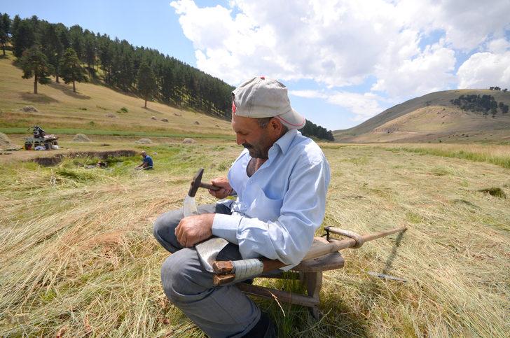 Sarıkamış'ta tırpanlar imece için bilendi G1