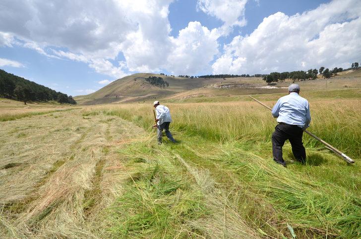 Sarıkamış'ta tırpanlar imece için bilendi G3