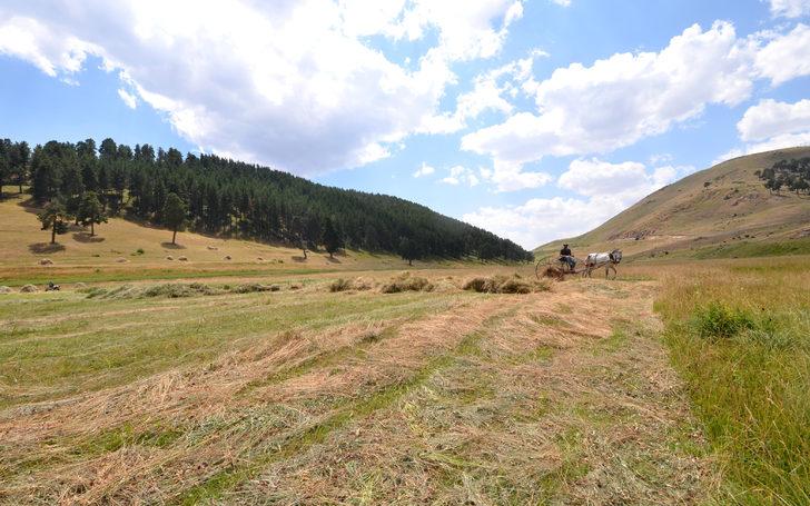 Sarıkamış'ta tırpanlar imece için bilendi G4