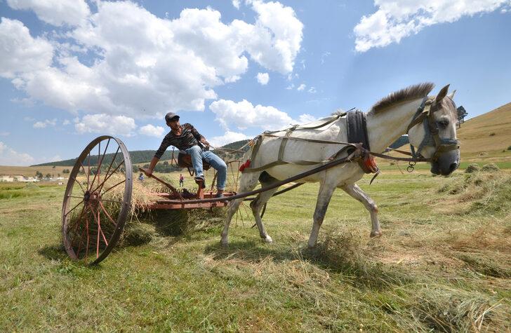 Sarıkamış'ta tırpanlar imece için bilendi G5