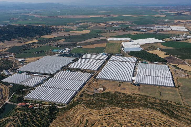 GRAFİKLİ - Çevreci ve ekonomik jeotermal seralar yüzde 400 büyüdü G1