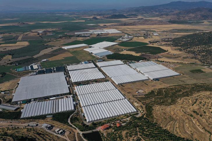 GRAFİKLİ - Çevreci ve ekonomik jeotermal seralar yüzde 400 büyüdü G2