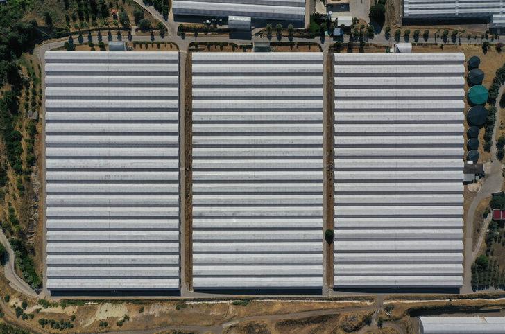 GRAFİKLİ - Çevreci ve ekonomik jeotermal seralar yüzde 400 büyüdü G3