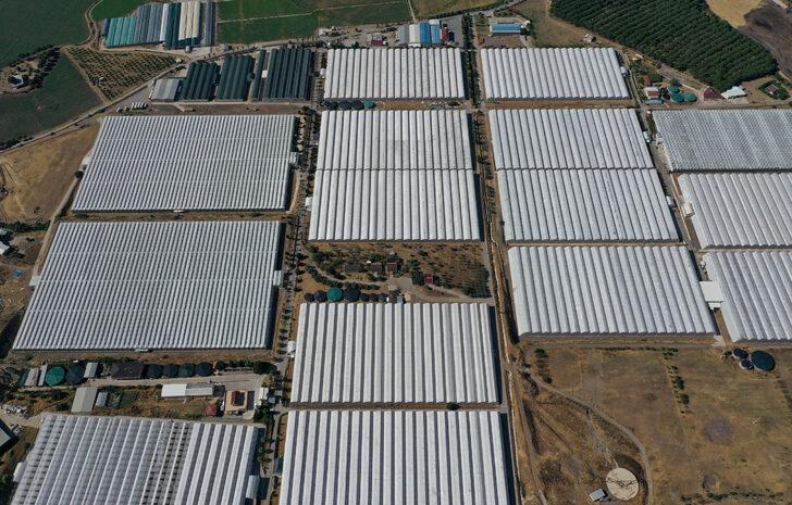 GRAFİKLİ - Çevreci ve ekonomik jeotermal seralar yüzde 400 büyüdü G5