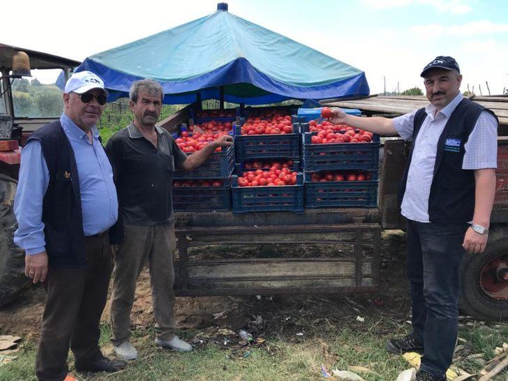 Kocaeli'de belediyenin desteğiyle kurulan seralar ürün vermeye başladı G4