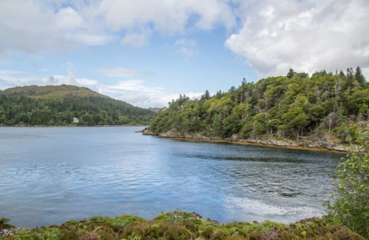 İskoç adası Deer Island satışa çıktı! Değeri: 80 bin sterlin G3