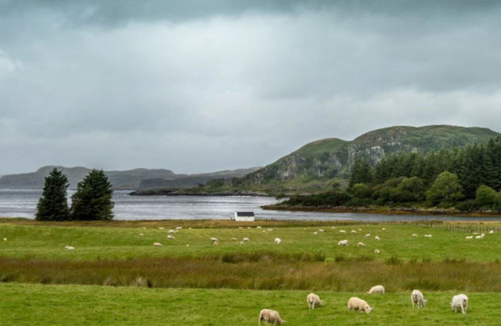 İskoç adası Deer Island satışa çıktı! Değeri: 80 bin sterlin G4