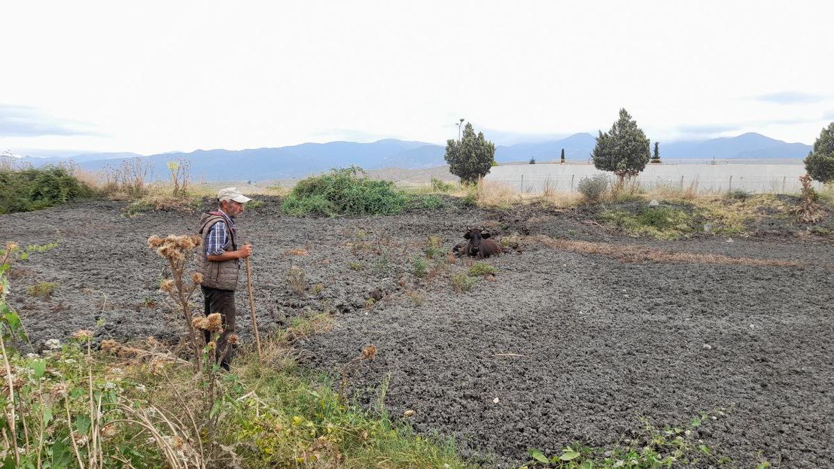 Tokat'ta g&uuml;bre yığınına batan ineği itfaiye kurtardı