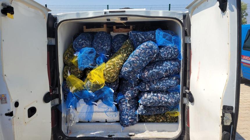 Muğla'da kaçak midye ve balık taşıyan kişiye 10 bin 711 lira ceza