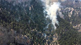 Mersin'de çıkan orman yangınına müdahale ediliyor