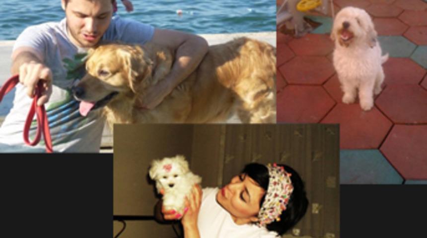 Vahşetin ardından T&uuml;rkiye ayağa kalktı