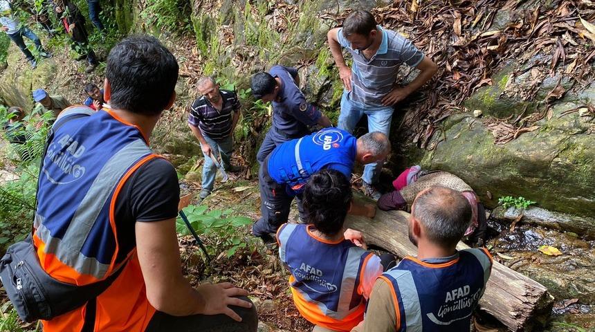 Giresun'da kaybolan kadın düştüğü uçurumda yaralı bulundu