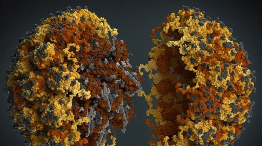 Genital siğil (HPV) kimler i&ccedil;in tehlikelidir? 