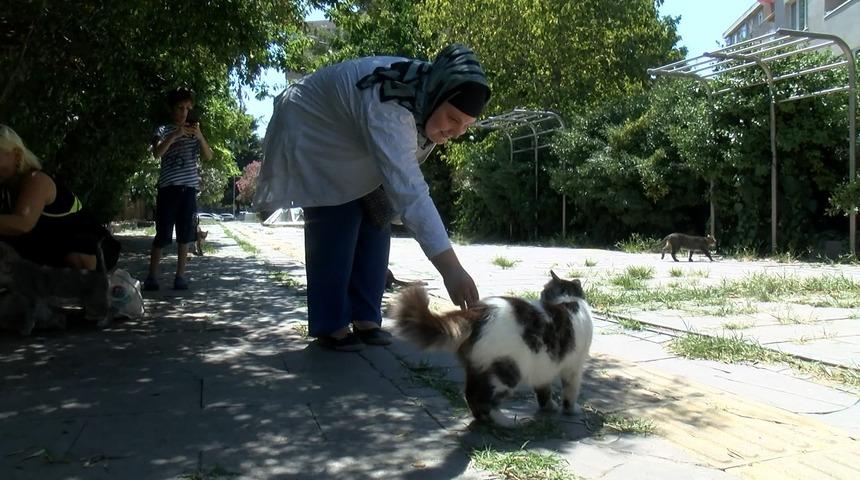 Maltepe'de esnafın şiddetine uğrayan kadın: Alkol şişelerinden rahatsız olmuyorlar da bunlardan mı rahatsızlar?