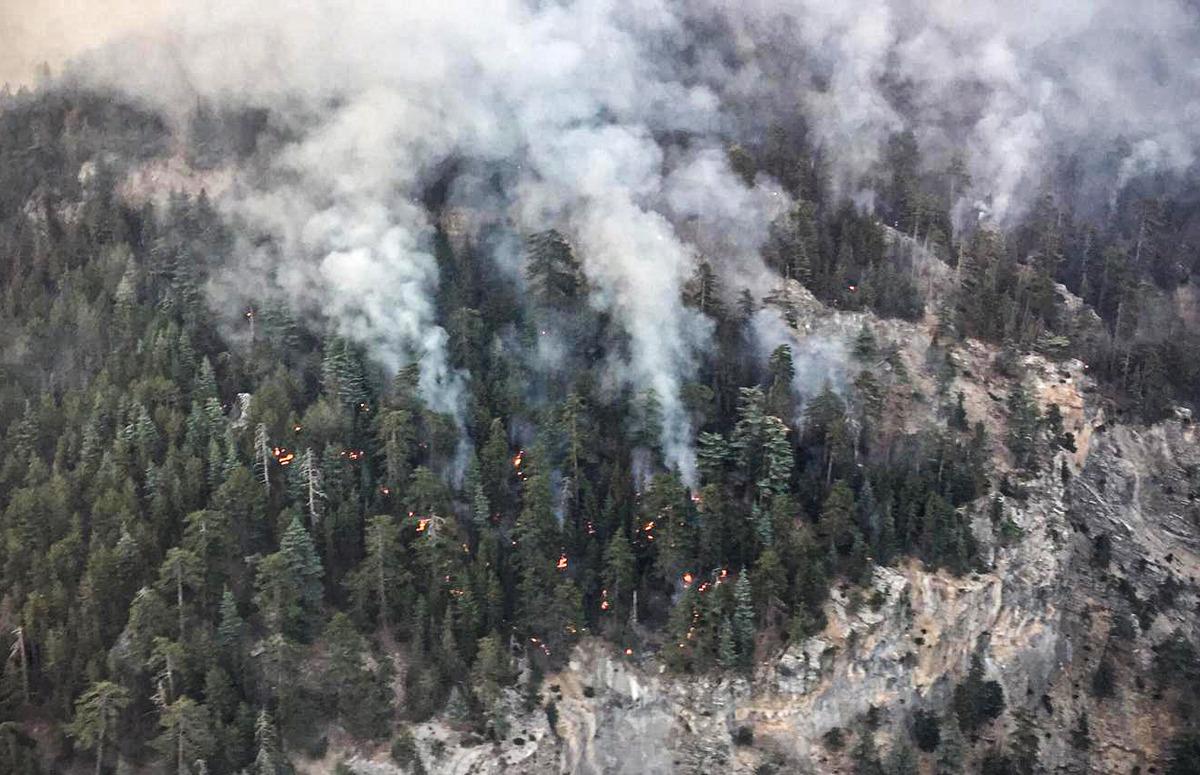 Mersin'deki orman yangınına havadan m&uuml;dahale sabah saatlerinde yeniden başlatıldı