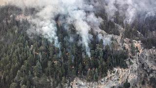 GÜNCELLEME - Mersin'deki orman yangınına havadan müdahale sabah saatlerinde yeniden başlatıldı