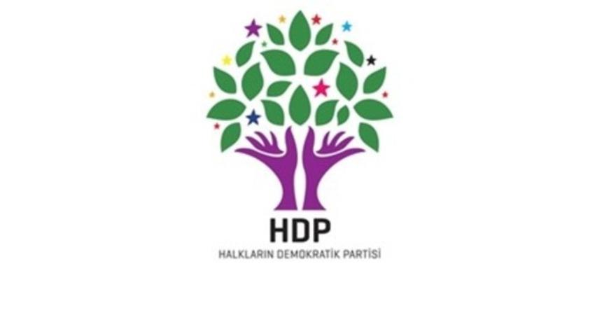 HDP 15 maddelik sonuç bildirgesi yayınladı