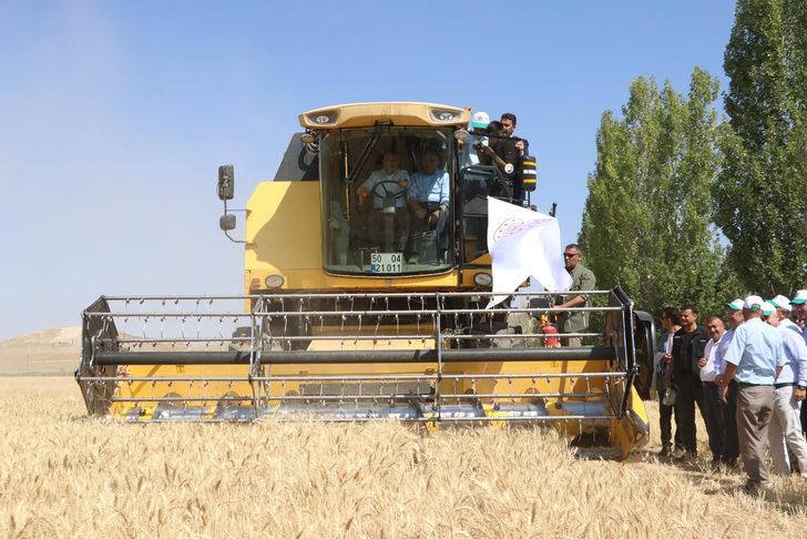Kayseri'de atıl arazilere ekilen yazlık buğday hasat edildi G3