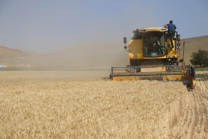 Kayseri'de atıl arazilere ekilen yazlık buğday hasat edildi G4