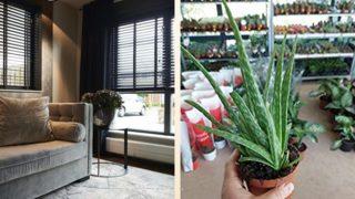 Kavurucu sıcaklarda evinizi serin tutmanızı sağlayacak ürün önerileri