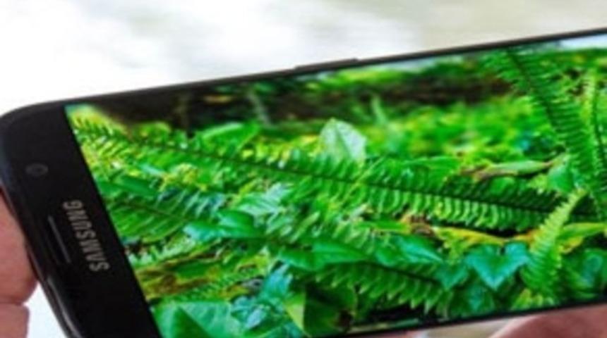 AMOLED panel kullanımı yüzde 40 artacak