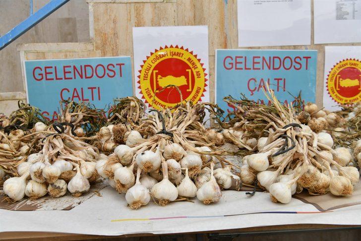 Isparta'nın "Çaltı sarımsağı" coğrafi işaretle tescillendi G1